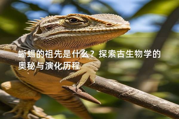 蜥蜴的祖先是什么？探索古生物学的奥秘与演化历程