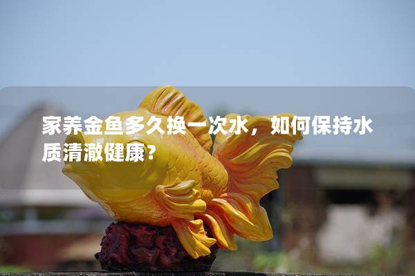 家养金鱼多久换一次水，如何保持水质清澈健康？