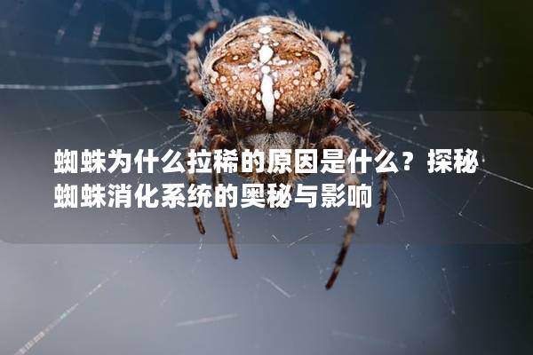 蜘蛛为什么拉稀的原因是什么？探秘蜘蛛消化系统的奥秘与影响