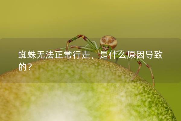 蜘蛛无法正常行走，是什么原因导致的？