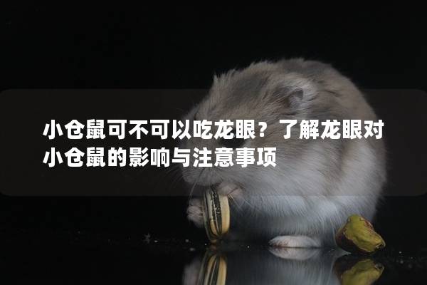 小仓鼠可不可以吃龙眼？了解龙眼对小仓鼠的影响与注意事项