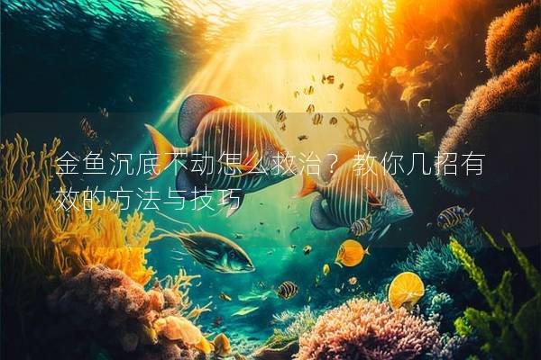 金鱼沉底不动怎么救治？教你几招有效的方法与技巧