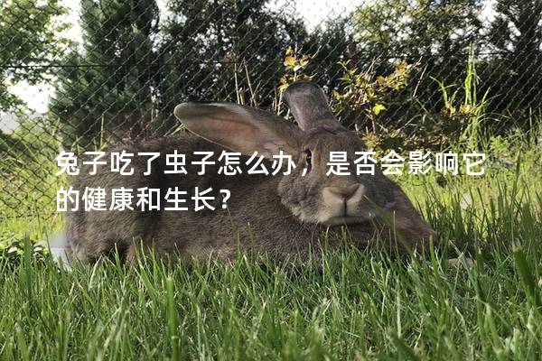 兔子吃了虫子怎么办，是否会影响它的健康和生长？