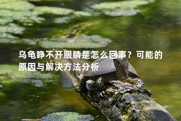 乌龟睁不开眼睛是怎么回事？可能的原因与解决方法分析