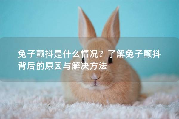 兔子颤抖是什么情况？了解兔子颤抖背后的原因与解决方法