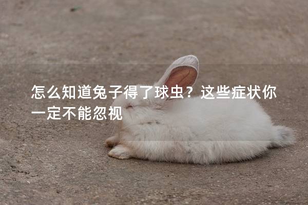 怎么知道兔子得了球虫？这些症状你一定不能忽视