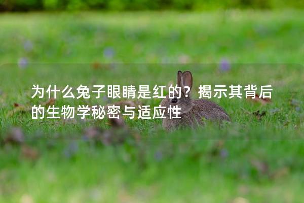 为什么兔子眼睛是红的？揭示其背后的生物学秘密与适应性