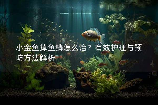 小金鱼掉鱼鳞怎么治？有效护理与预防方法解析