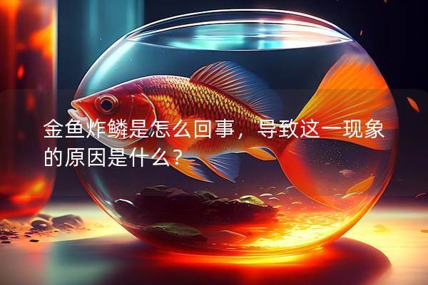 金鱼炸鳞是怎么回事，导致这一现象的原因是什么？