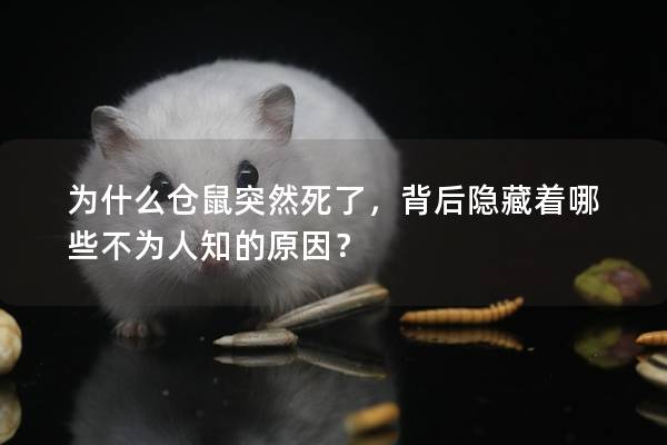 为什么仓鼠突然死了，背后隐藏着哪些不为人知的原因？