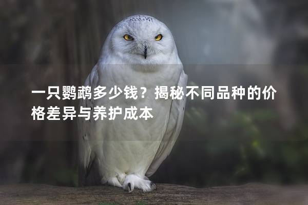 一只鹦鹉多少钱？揭秘不同品种的价格差异与养护成本