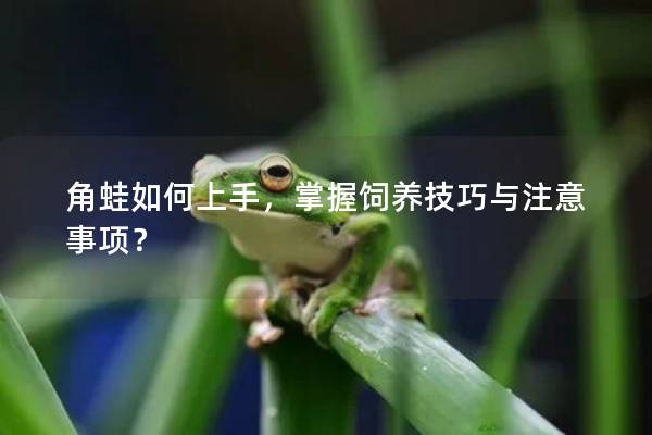 角蛙如何上手，掌握饲养技巧与注意事项？