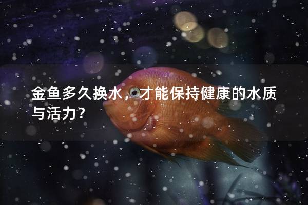 金鱼多久换水，才能保持健康的水质与活力？