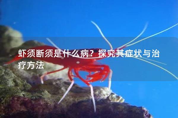 虾须断须是什么病？探究其症状与治疗方法