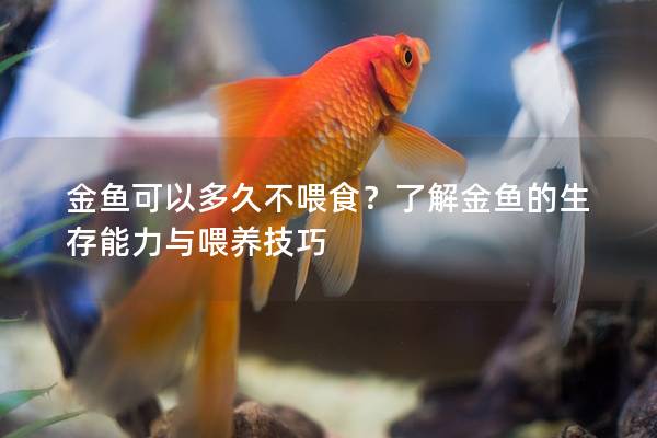 金鱼可以多久不喂食？了解金鱼的生存能力与喂养技巧