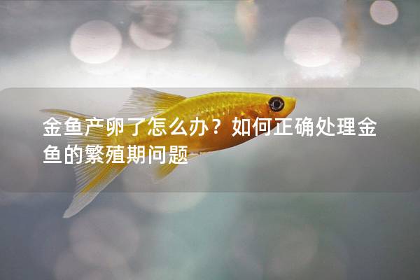 金鱼产卵了怎么办？如何正确处理金鱼的繁殖期问题