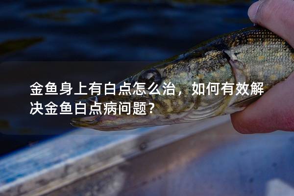 金鱼身上有白点怎么治，如何有效解决金鱼白点病问题？