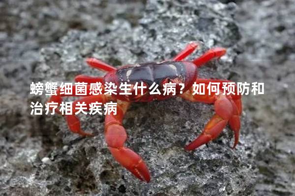 螃蟹细菌感染生什么病？如何预防和治疗相关疾病