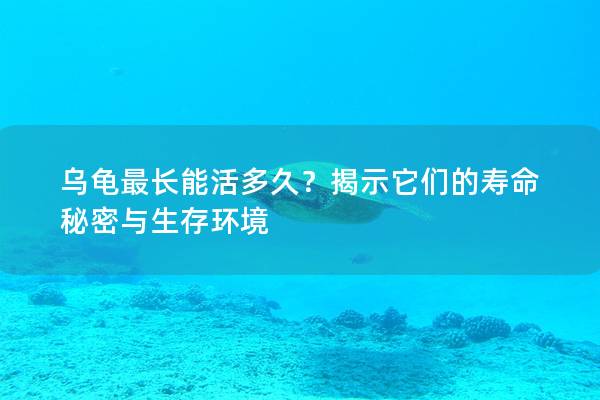 乌龟最长能活多久？揭示它们的寿命秘密与生存环境