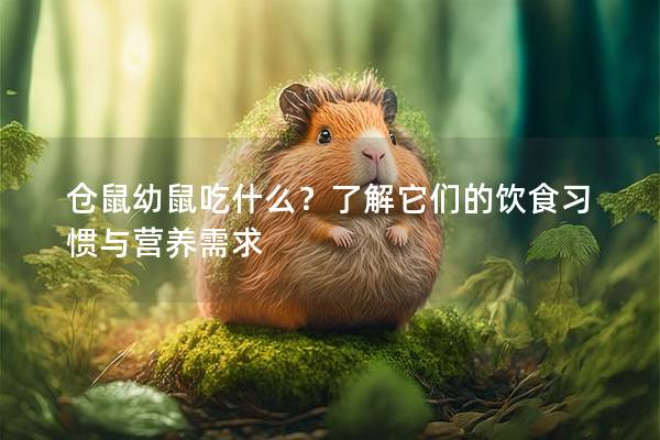 仓鼠幼鼠吃什么？了解它们的饮食习惯与营养需求