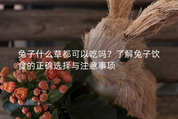 兔子什么草都可以吃吗？了解兔子饮食的正确选择与注意事项