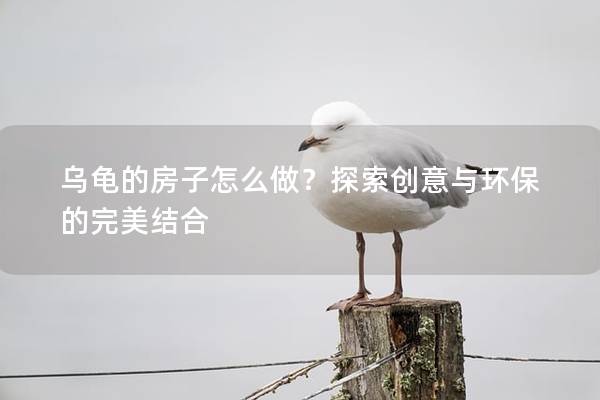 乌龟的房子怎么做？探索创意与环保的完美结合