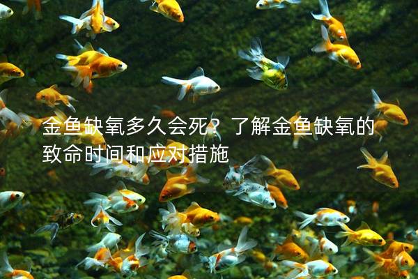 金鱼缺氧多久会死？了解金鱼缺氧的致命时间和应对措施