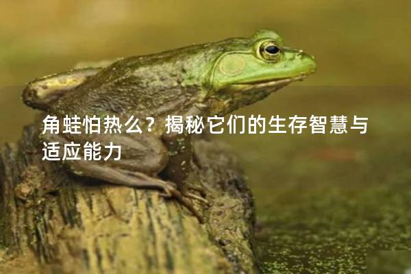 角蛙怕热么？揭秘它们的生存智慧与适应能力