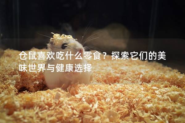 仓鼠喜欢吃什么零食？探索它们的美味世界与健康选择