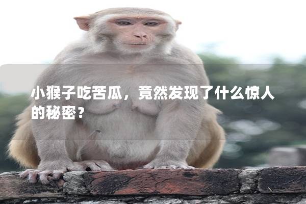 小猴子吃苦瓜，竟然发现了什么惊人的秘密？