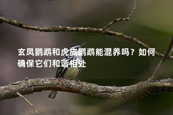 玄凤鹦鹉和虎皮鹦鹉能混养吗？如何确保它们和谐相处