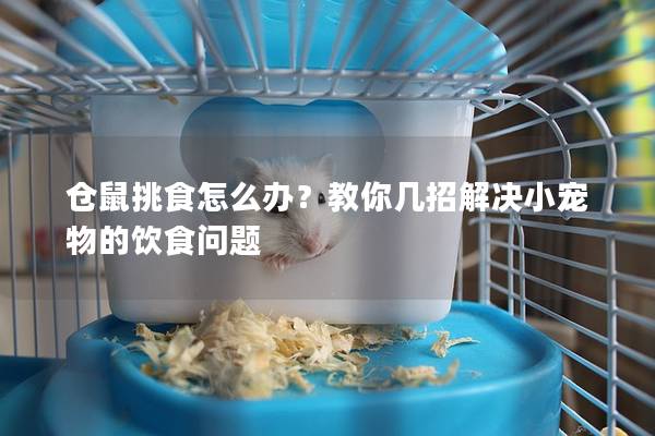 仓鼠挑食怎么办？教你几招解决小宠物的饮食问题