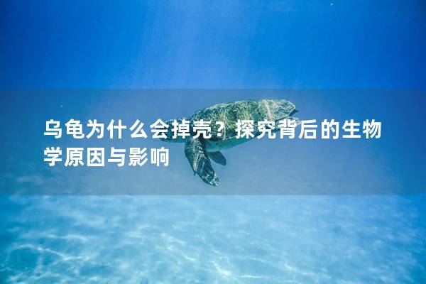 乌龟为什么会掉壳？探究背后的生物学原因与影响