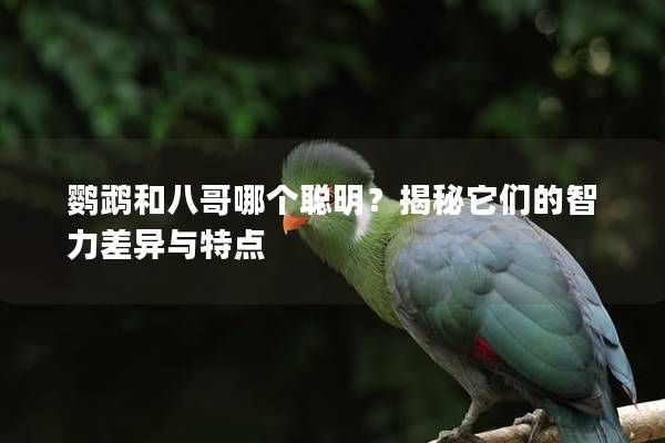 鹦鹉和八哥哪个聪明？揭秘它们的智力差异与特点