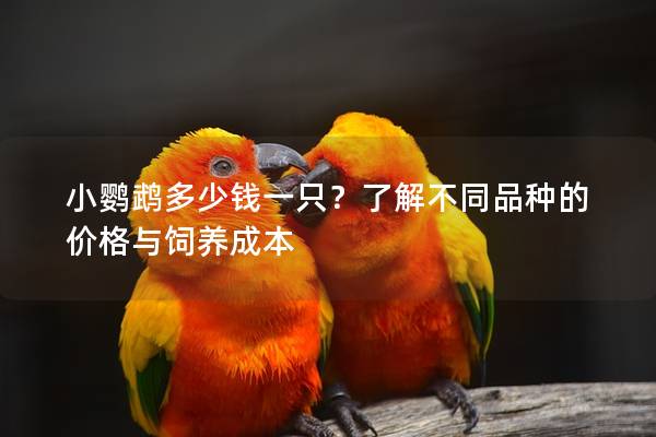 小鹦鹉多少钱一只？了解不同品种的价格与饲养成本