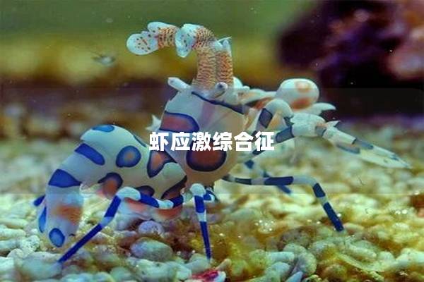 虾应激综合征