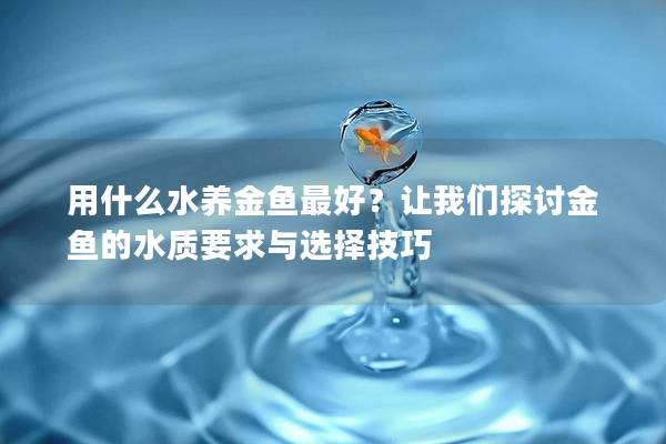 用什么水养金鱼最好？让我们探讨金鱼的水质要求与选择技巧