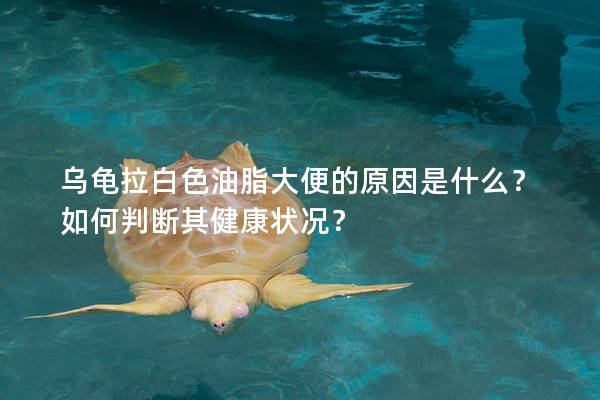 乌龟拉白色油脂大便的原因是什么？如何判断其健康状况？