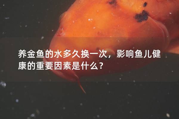 养金鱼的水多久换一次，影响鱼儿健康的重要因素是什么？