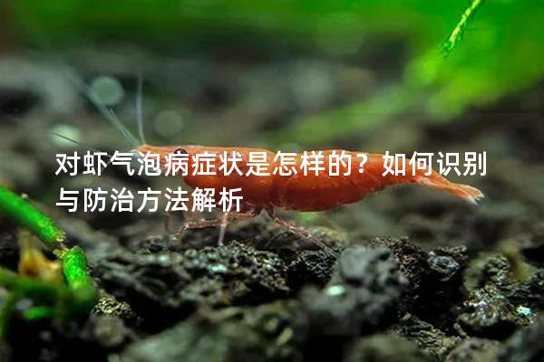 对虾气泡病症状是怎样的？如何识别与防治方法解析