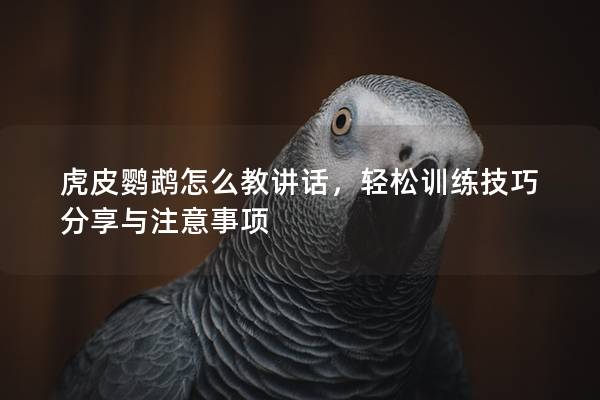 虎皮鹦鹉怎么教讲话，轻松训练技巧分享与注意事项