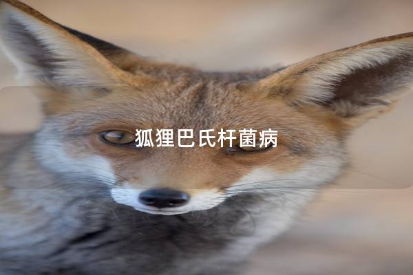 狐狸巴氏杆菌病