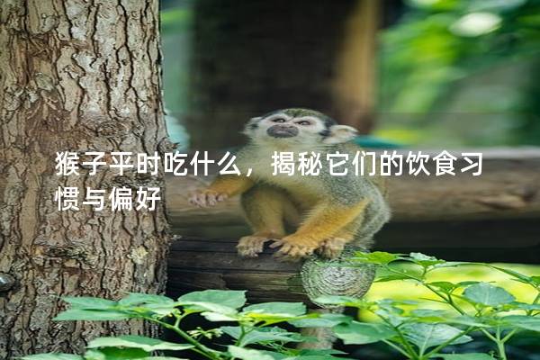 猴子平时吃什么，揭秘它们的饮食习惯与偏好