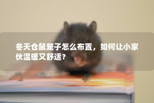 冬天仓鼠笼子怎么布置，如何让小家伙温暖又舒适？