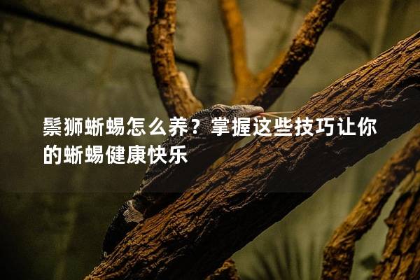 鬃狮蜥蜴怎么养？掌握这些技巧让你的蜥蜴健康快乐