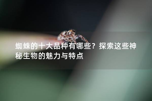 蜘蛛的十大品种有哪些？探索这些神秘生物的魅力与特点