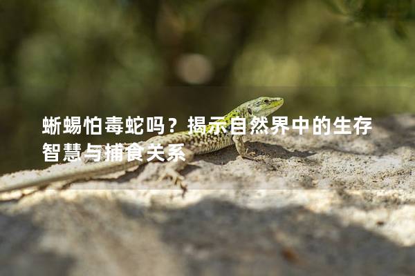 蜥蜴怕毒蛇吗？揭示自然界中的生存智慧与捕食关系