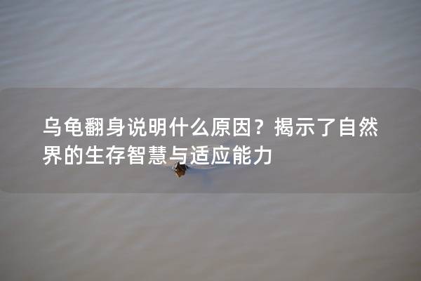 乌龟翻身说明什么原因？揭示了自然界的生存智慧与适应能力