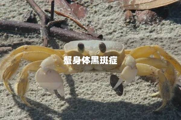 蟹身体黑斑症