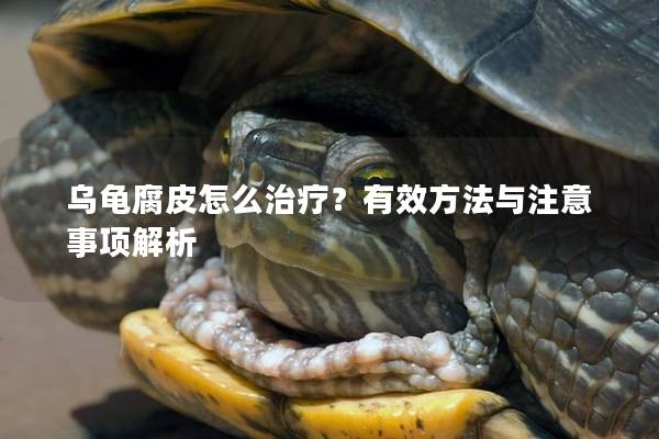 乌龟腐皮怎么治疗？有效方法与注意事项解析